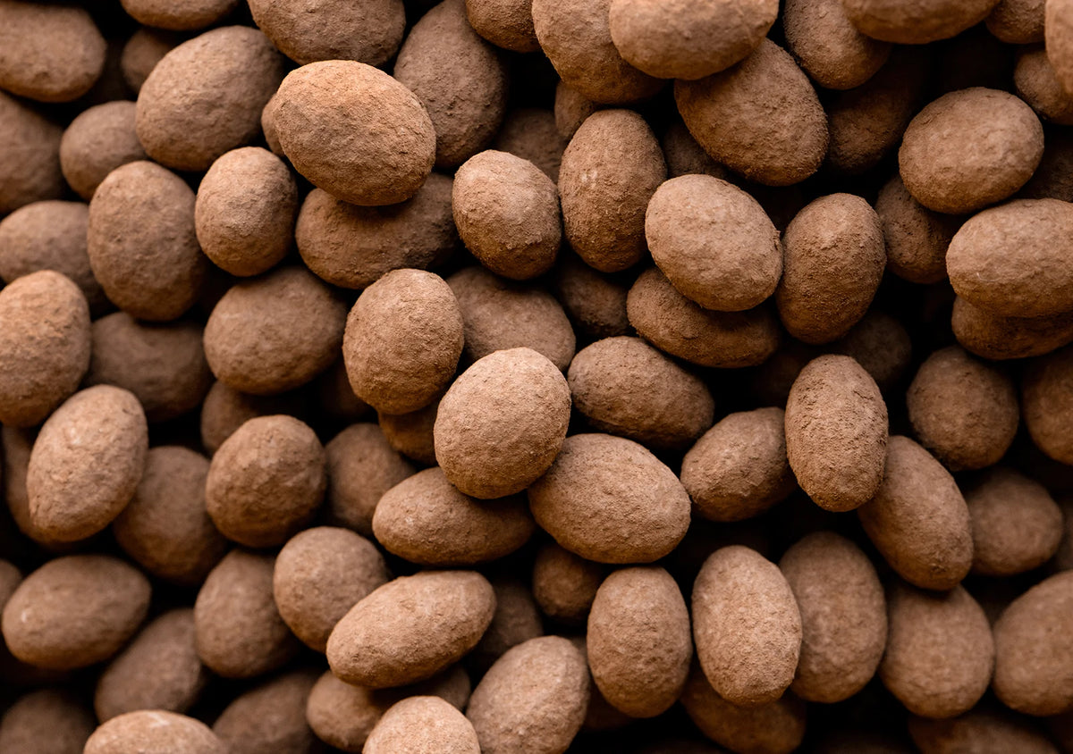 Cocoa-dusted Christopher Elbow chocolate-covered almonds close-up