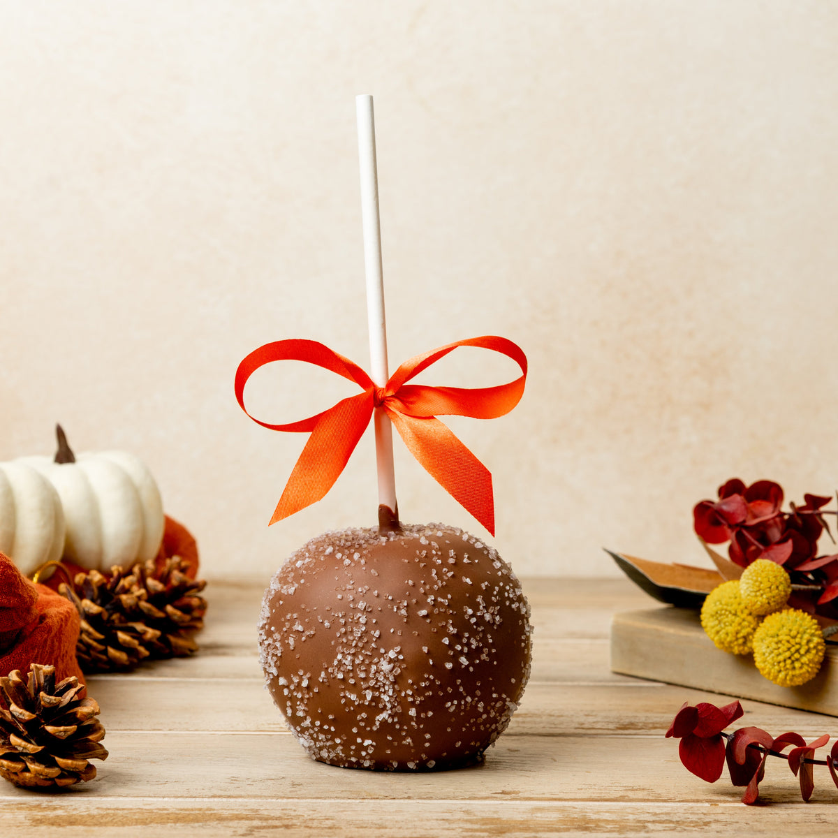 Enjou sea salt chocolate caramel apple